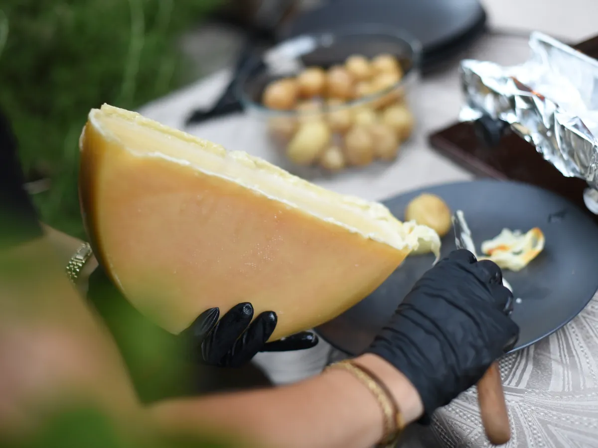 Racleuse raclant une demi-meule de fromage valaisan lors d'une raclette à domicile